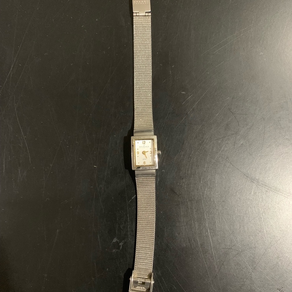 Beautiful Skagen Watch